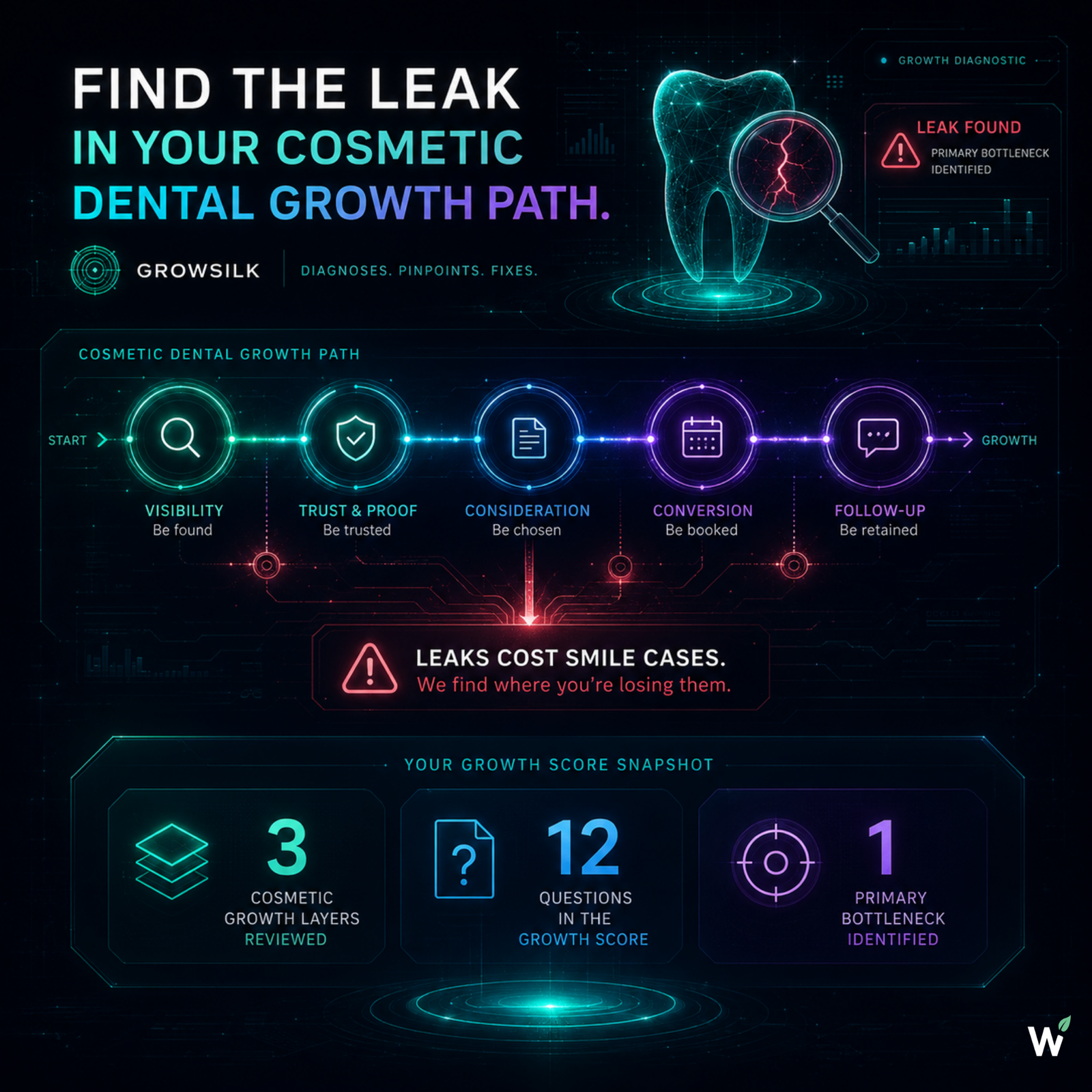GROWSILK cosmetic dental growth path diagnostic — identifying whether the practice is leaking at local search visibility, trust and proof architecture, or consultation conversion before any growth work begins